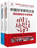 中國漢字聽寫大會我的趣味漢字世界