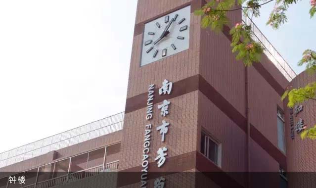 親近母語
