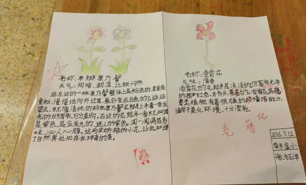 親近母語夏令營