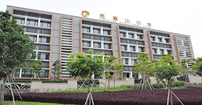 廣東省深圳市龍崗區平湖鳳凰山小學